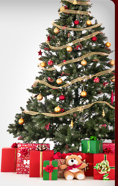 geschm 252 ckten weihnachtsbaum bestellen my blog geschm 252 ckten weihnachtsbaum bestellen my blog
